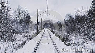 Forest Bacieczki BiaÅ‚ystok in the snow Stock Photo